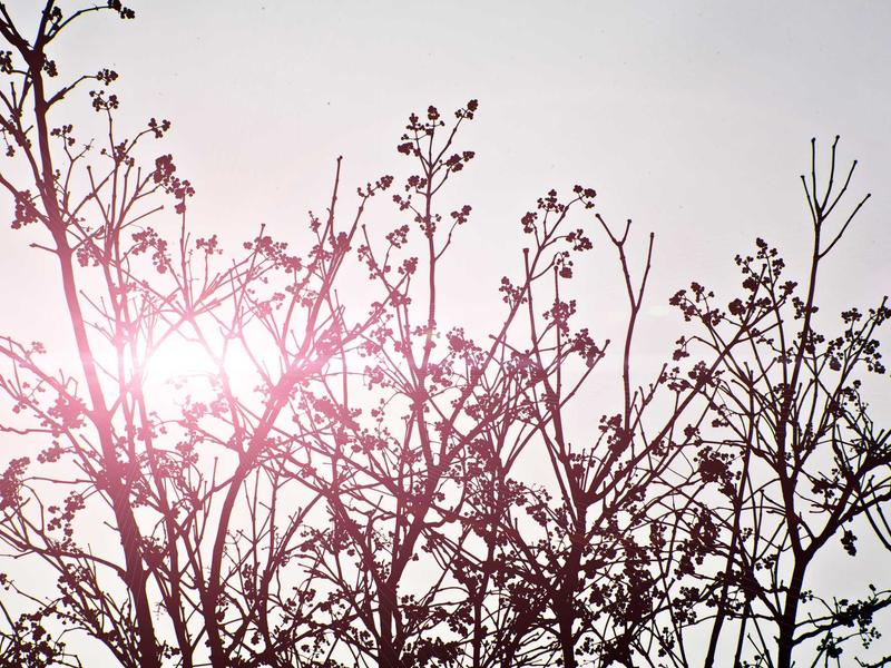 Monsoon special cotton Laddu Gopal poshak set for Sawan season