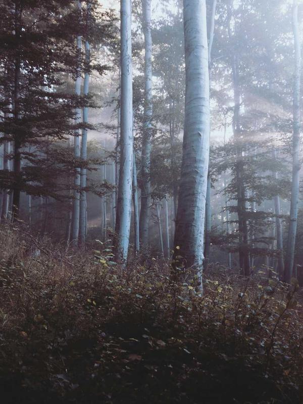 Winter velvet Laddu Gopal poshak with shawl in deep jewel tones