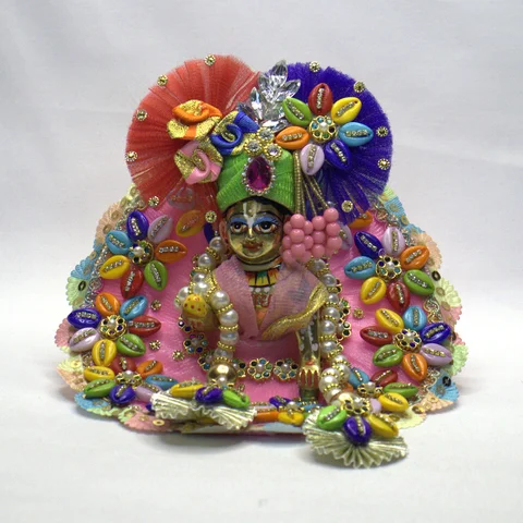 Vibrant Pink Net with Shell Work - Main